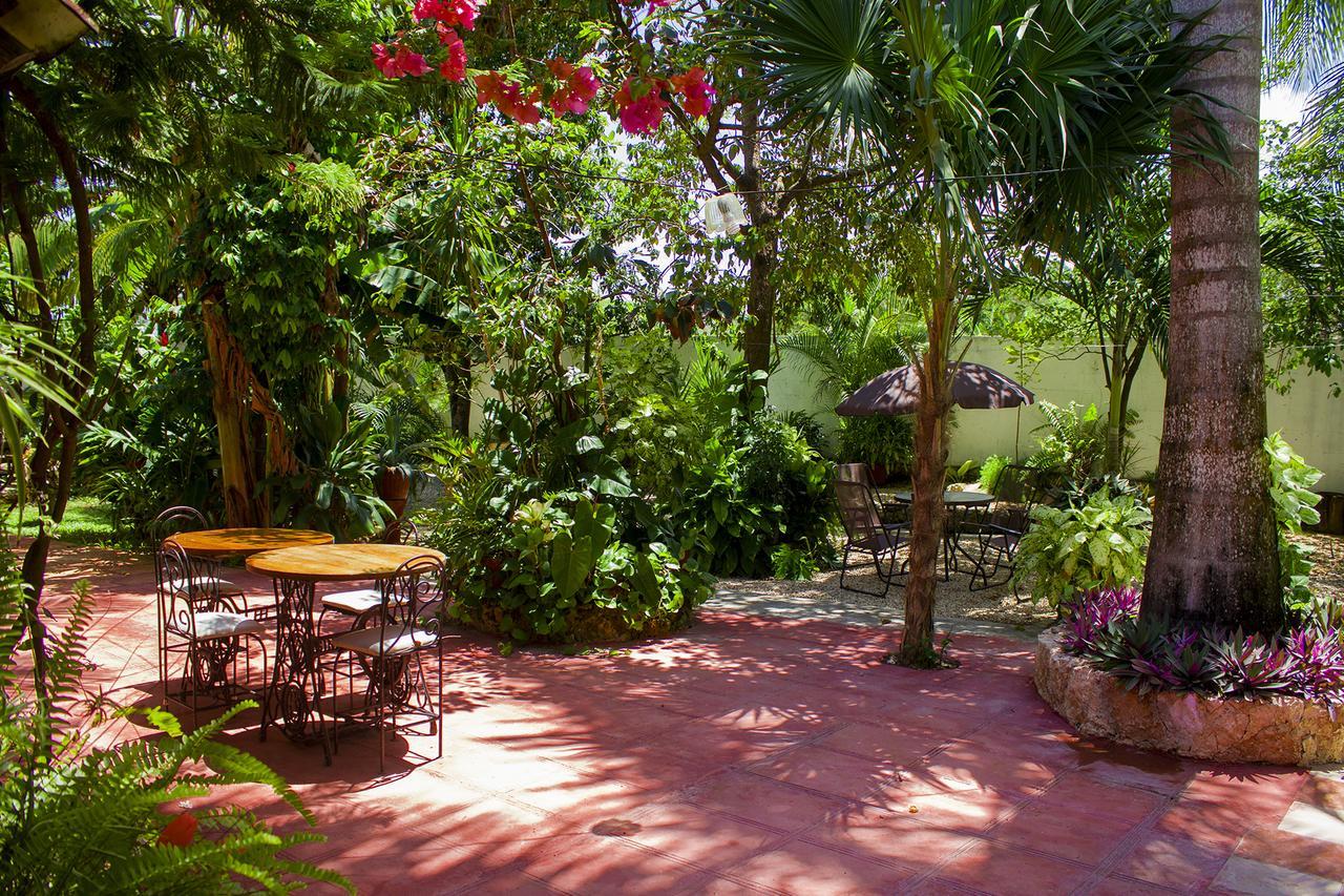 Casa De Los Pajaros - B&B Valladolid  Exterior foto