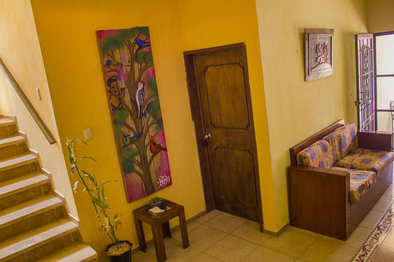 Casa De Los Pajaros - B&B Valladolid  Exterior foto